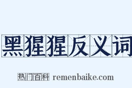 黑猩猩反义词是什么意思的图片